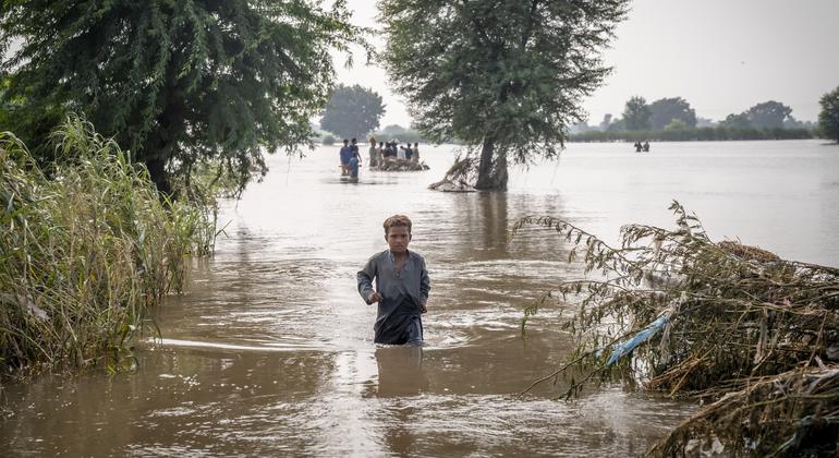 Un niño de siete años se abre paso a través de aguas de inundación hasta la altura de la cintura en Punjab, Pakistán, en septiembre de 2025.